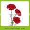 Colorful newest factory direct sale importers