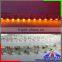 Red/Green/Yellow/Warm White/Natural White 3014 Side View LED Strip