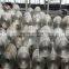 1050 1060 1100 1200 aluminum coil for gutter