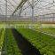 Irrigation equipment and Hydroponics NFT Systems For Greenhouse