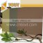 Etched color decorative inox sheet