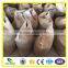 Anping Common Nail Manufacturer