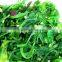 Frozen Hiyashi-wakame Seaweed Salad