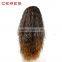 top quality 100% human hair wigs factory wholesale lace frontal wig for afro americans