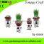 desktop gift cheap flower pots outdoor plant small