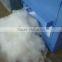 Cost price Reliable quality hard waste pillow fiber opening machine