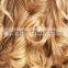 Wholesale the Shining Extension Hair Made of 100% Pure Brazilian Hair