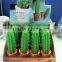 high quality creative design green cactus shape soft pvc cactus pen magnet