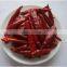 China Suppliers New Crop Hot Red Chaotian Chili Pepper Chili