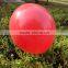 10 Inch Pretty Latex Balloon Custom Balloon