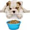 OEM Logo Home & Garden Non-toxic Food Grade Collapsible Pet Bowls