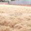 Coconut Fiber (qq : 2598494113) FOB PRICE: 200$ - 230$
