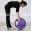 High Quality PVC 55cm Yoga Ball Exercise Fitness Aerobic Ball for GYM Yoga Pilates