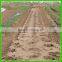 Two Rows Onion Transplanter Machine For Sale