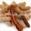 Spray Dried Tamarind Juice Powder