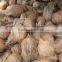 semi husked/natural organic coconuts- Mature coconuts