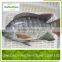 Frozen Tilapia Fillet Fish Price For Sale