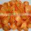 Dehydrated Carrot Chips