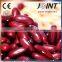 Super March Purchasing Dark Red Kidney Beans/sugar beans