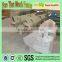 Fully Automatic Wire Straightening and Cutting Machine
