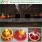 Poultry Breeder House/ Chain Feeding System