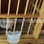 Plastic Crescent suspended feedr pigeon bird feeder handing duck/chicken feeder good price