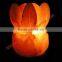 WholeSale 2017 New Design CRAFTED CRYSTAL SALT LAMPS