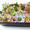 Plastic Raised Garden Bed