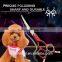2017 Latest style 440C beauty equipment safety pet grooming scissors for dog pet