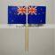 National custom cocktail toothpick small country flag