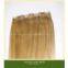 Clip on Indian Human Hair Weft Extensions