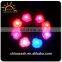 Romantic LED Flashing Rose