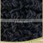 hot new products for 2015 aaa quality remy hair extension soft human hair afro curly weave for black women