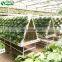 Low Price Agricultural Greenhouse Wall Hydroponic Growing Systems