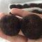 Factory Price Premium Quality Fresh Wild Black Truffle Mushroom  (1-3CM) from China