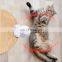 Electric LED cat laser teaser rolling ball toy automatic cat rotate teaser toy with feather