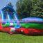 Commercial Inflatable Water Slides Kids Bouncer