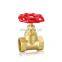 dn15 gas brass gate valve