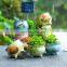 Best selling succulent plant ceramic flower planter pot for garden