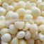 Chinese fresh frozen garlic with reliable price good quality