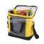 Fashion Insulated Cooler Picnic bag