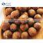 Sinocharm IQF Longan Frozen fruits Top Quality BRC Certified IQF Frozen longan IQF  frozen sweet longan for wholesale