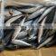 High quality A Grade Chub Mackerel Pacific mackerel fish scomber japonicus