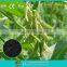 Root crops special pure natural biomass silicon calcium magnesium fertilizer