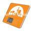 New design 5kg digital nutrition kitchen scale