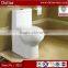Three Inch Outlet Siphonic Toilet Bowl , Japanese Toilet, One Piece South America Toilet wc Prices