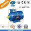 China Motor manufacturer Y2 3 Phase Induction Electric Motor ac motor