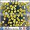 Man made yellow RVD diamond powder