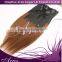 Ombre Color Remy Human Hair Clip in Hair Extension 20" Full Head