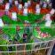 soda drinks stand up pouch filling and capping machines